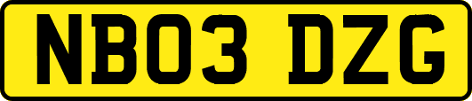 NB03DZG