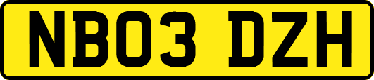 NB03DZH