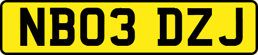 NB03DZJ