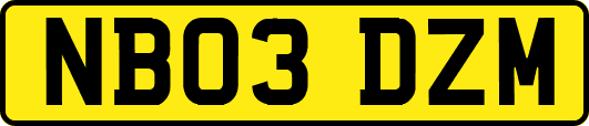 NB03DZM