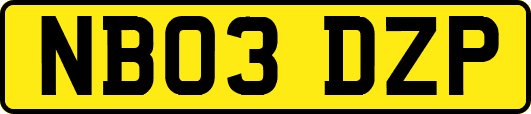 NB03DZP