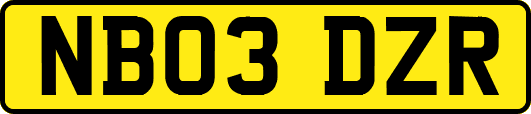 NB03DZR