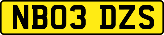 NB03DZS