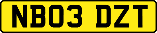 NB03DZT