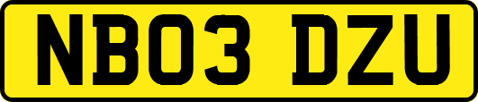 NB03DZU