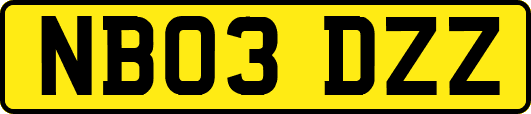 NB03DZZ