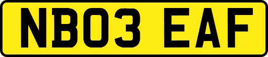NB03EAF