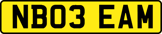NB03EAM