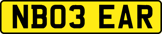 NB03EAR