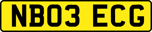NB03ECG