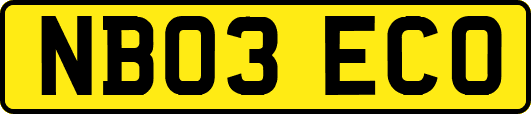 NB03ECO