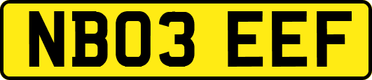 NB03EEF