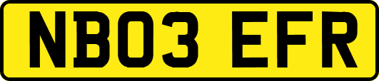 NB03EFR
