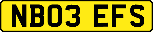 NB03EFS