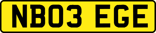 NB03EGE