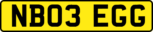 NB03EGG