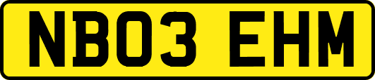 NB03EHM