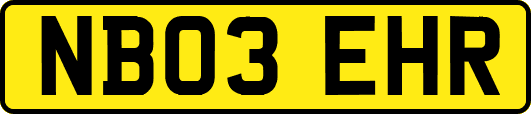 NB03EHR