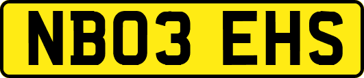 NB03EHS