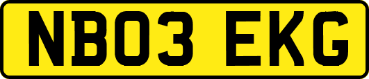 NB03EKG