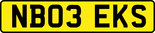 NB03EKS