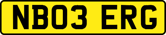 NB03ERG