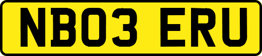 NB03ERU