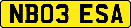NB03ESA