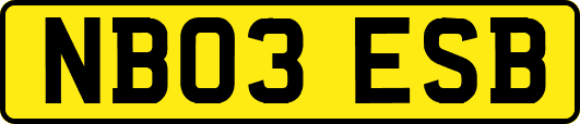 NB03ESB