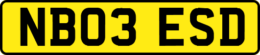 NB03ESD