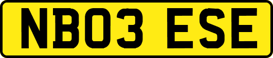 NB03ESE