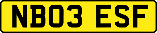 NB03ESF