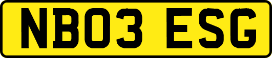 NB03ESG