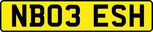 NB03ESH