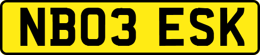 NB03ESK