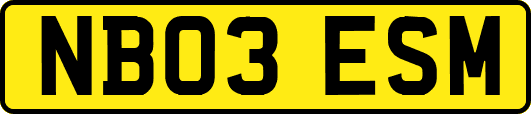NB03ESM