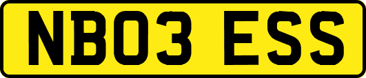 NB03ESS