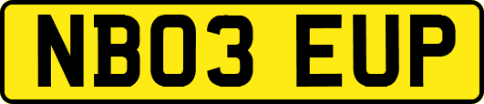 NB03EUP