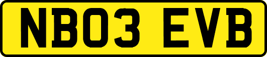 NB03EVB
