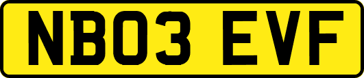 NB03EVF