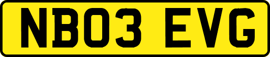 NB03EVG