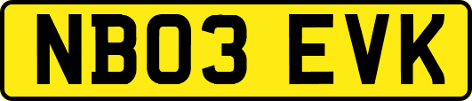 NB03EVK