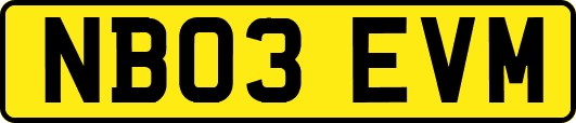NB03EVM