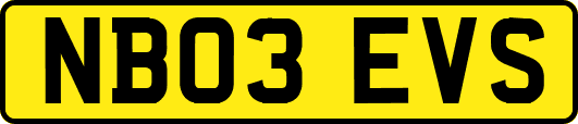 NB03EVS