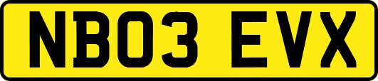 NB03EVX
