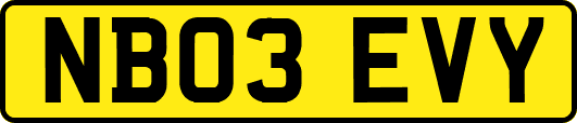 NB03EVY