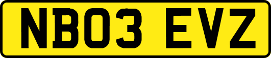 NB03EVZ