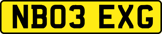 NB03EXG