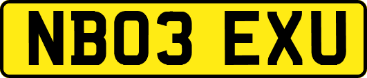 NB03EXU