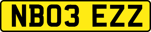 NB03EZZ
